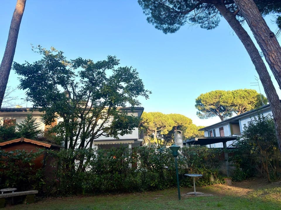 Spring, Day, Garden, Garden view