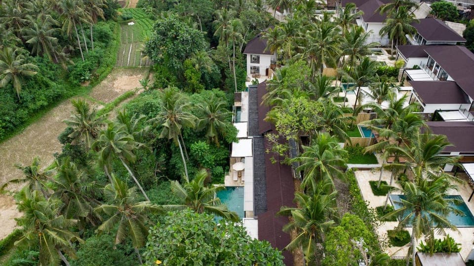 Neighbourhood, Bird's eye view