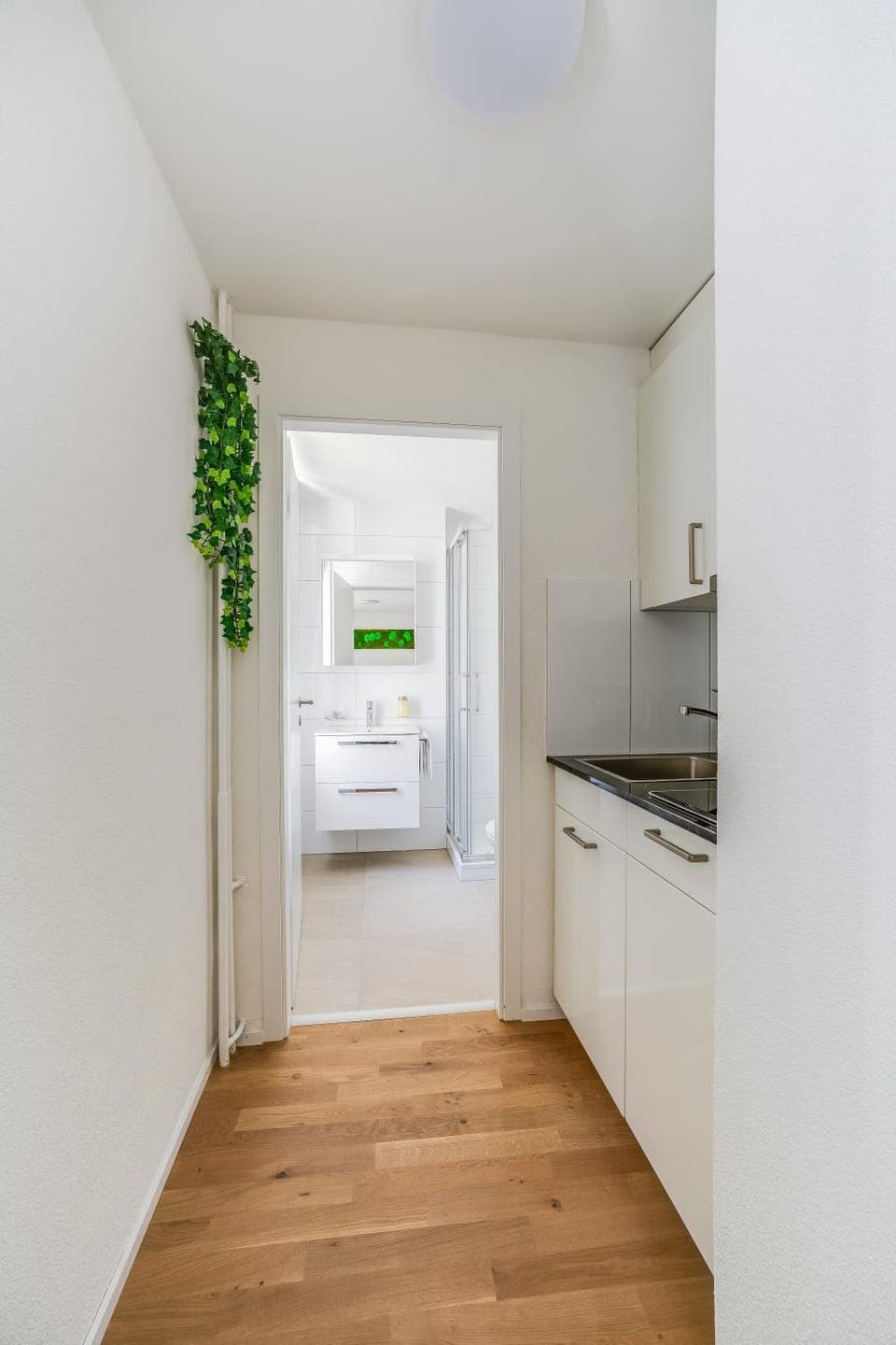 Kitchen or kitchenette, Photo of the whole room