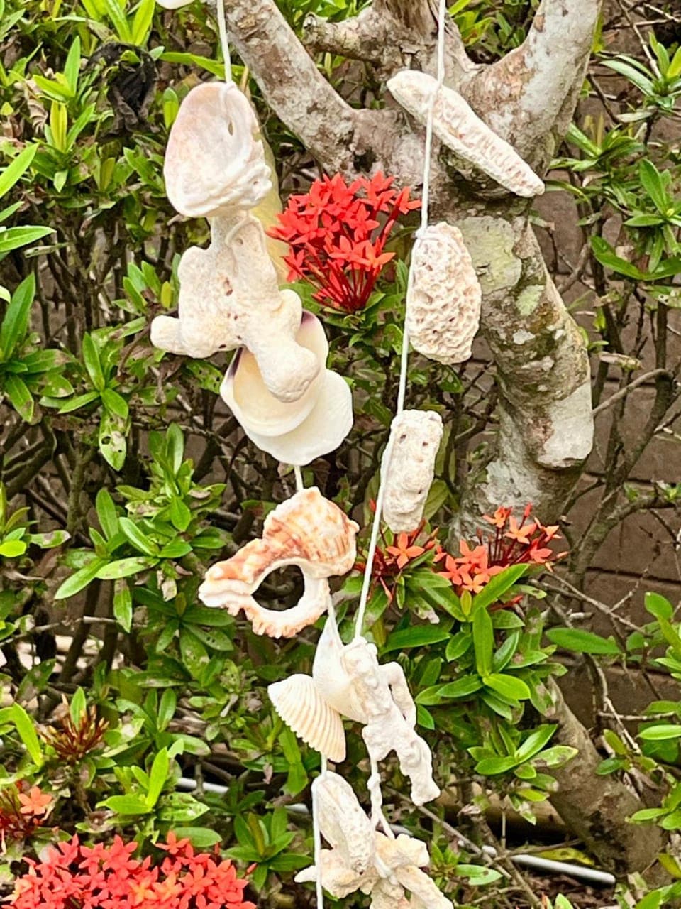 Decorative detail, Garden view