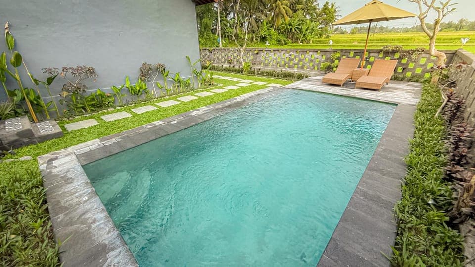 Day, Pool view, Swimming pool