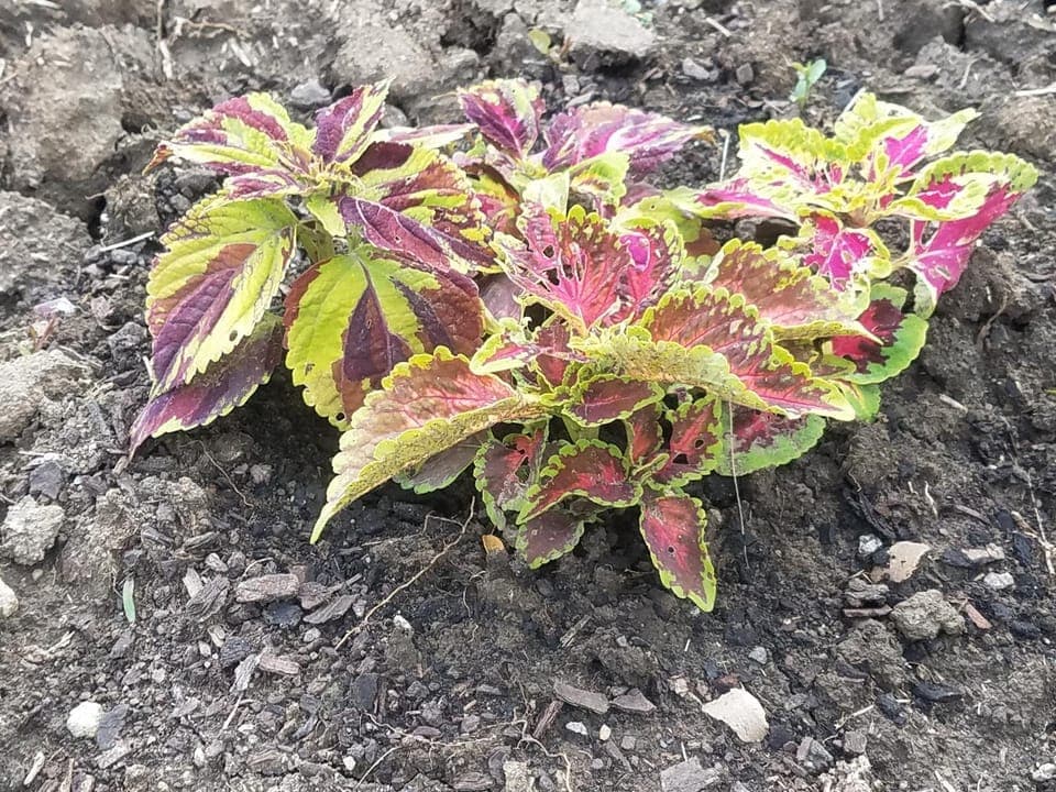 View (from property/room), Decorative detail