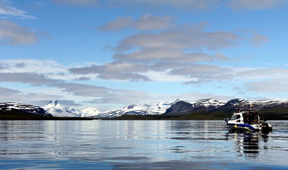 Natural landscape, Winter