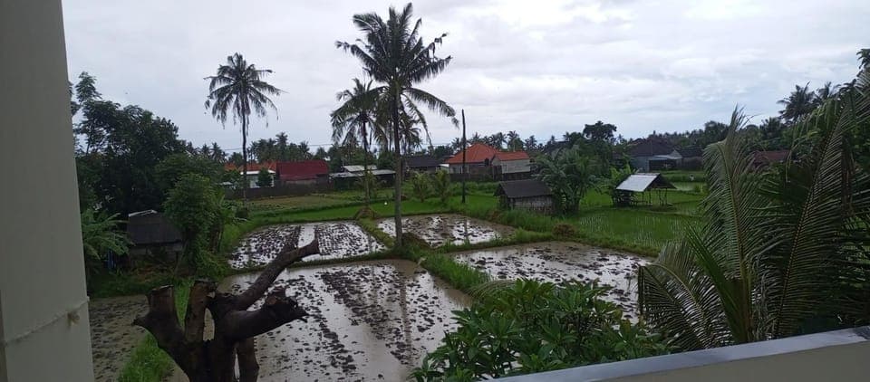 View (from property/room)