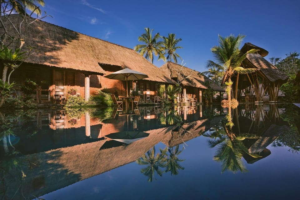 Day, Natural landscape, Garden, Garden view, Pool view, Swimming pool