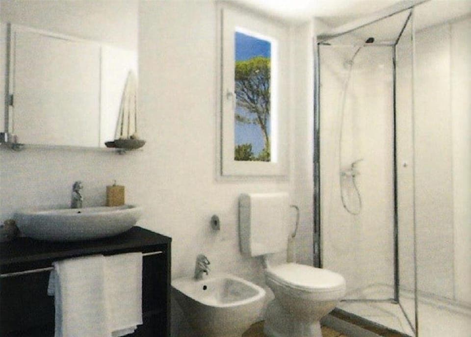 Shower, Toilet, Bathroom