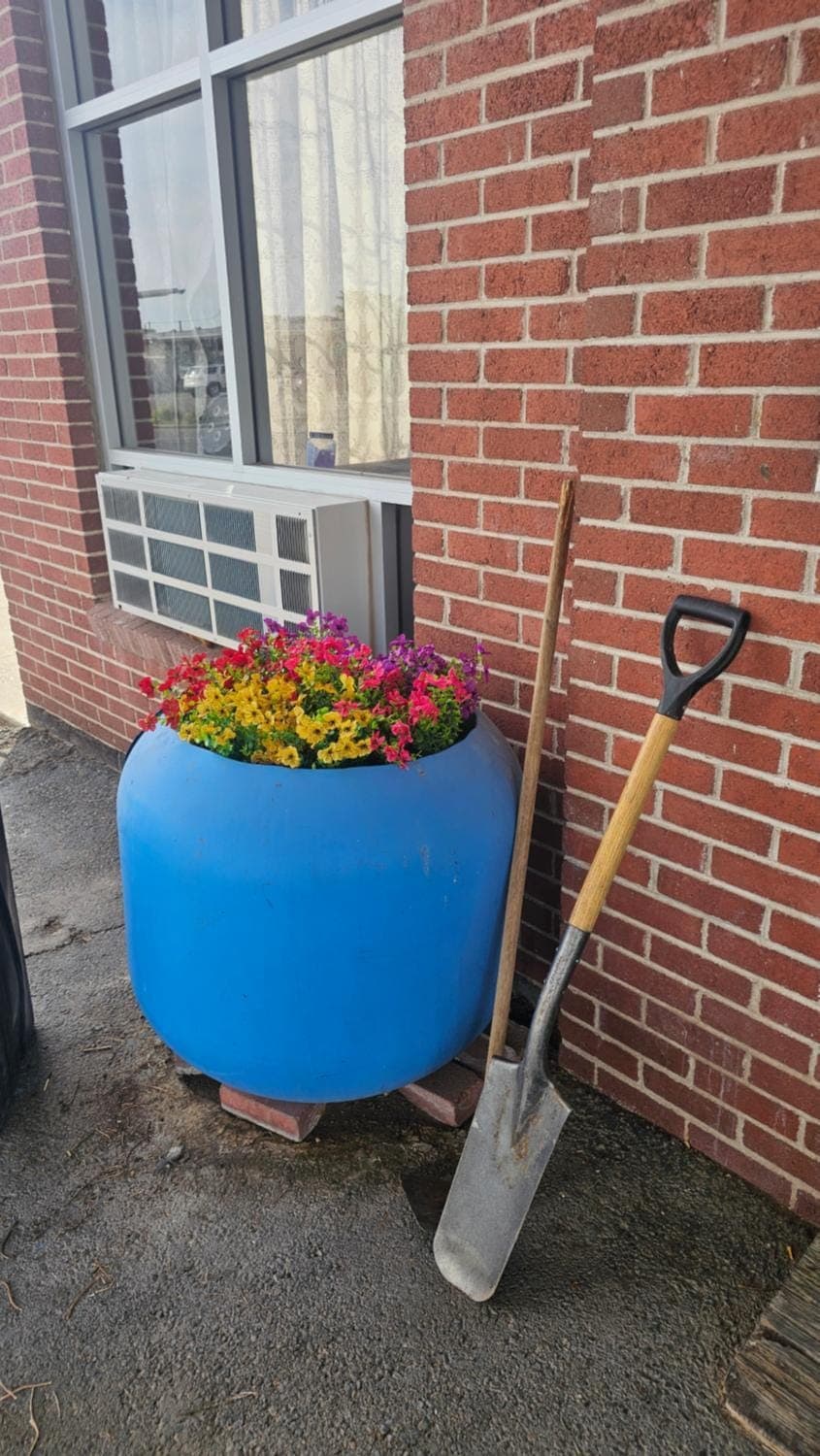 Property building, Facade/entrance, Day, Garden