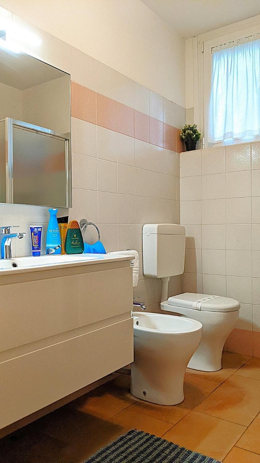 Toilet, Bathroom, bidet