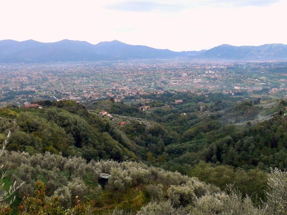 View (from property/room)