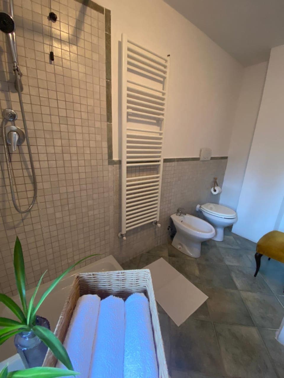 Shower, Toilet, Bathroom, bidet