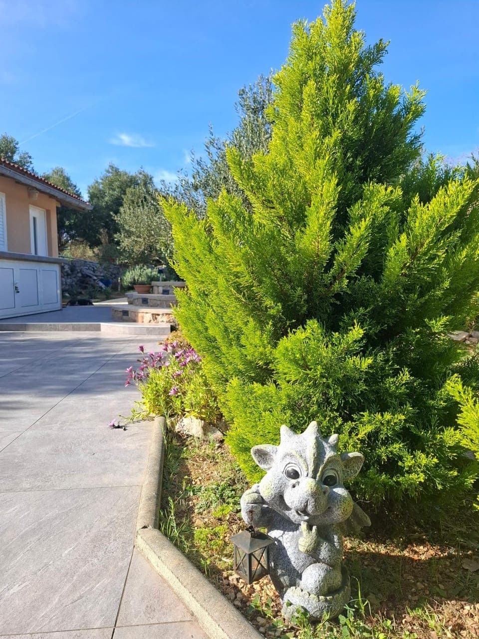 Garden view
