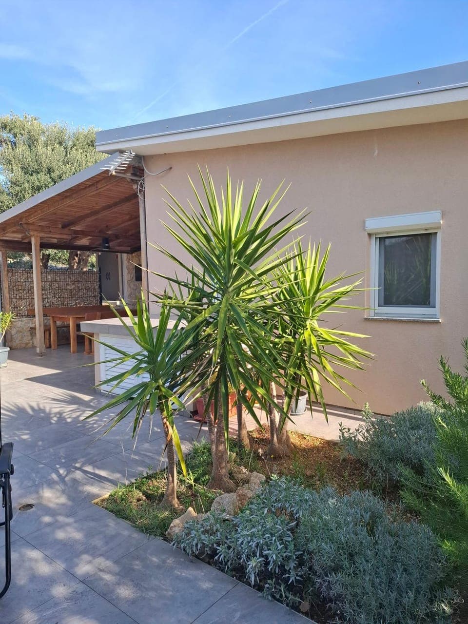 Property building, Garden view