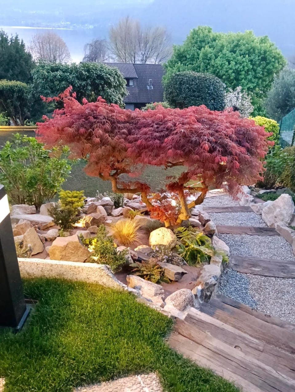 Natural landscape, Garden, Garden view
