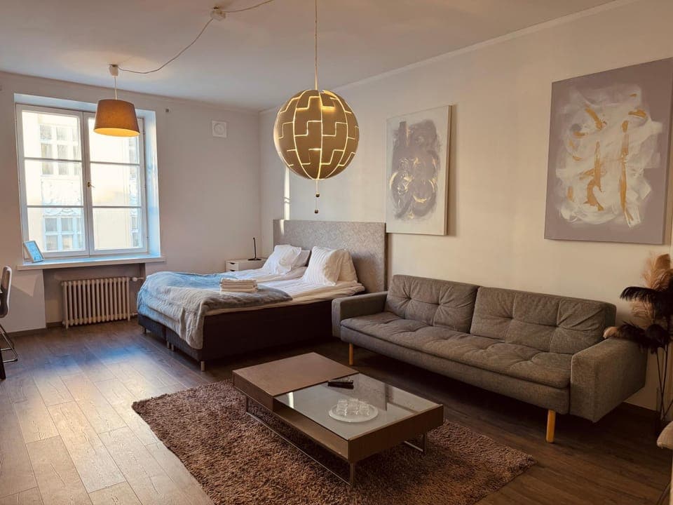 Bed, Living room, Photo of the whole room, Seating area, Bedroom