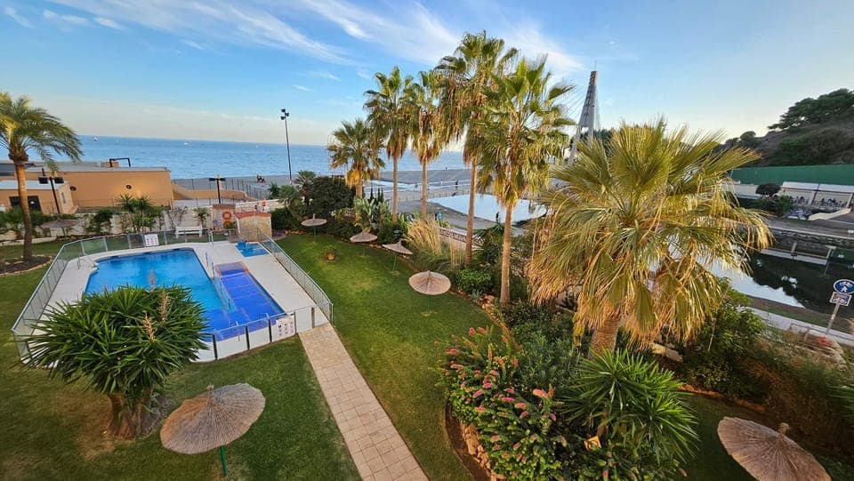 Garden, Swimming pool