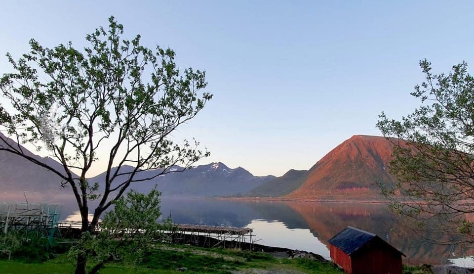 Lofoten Lodge - Live like the locals Apartment in Lofoten