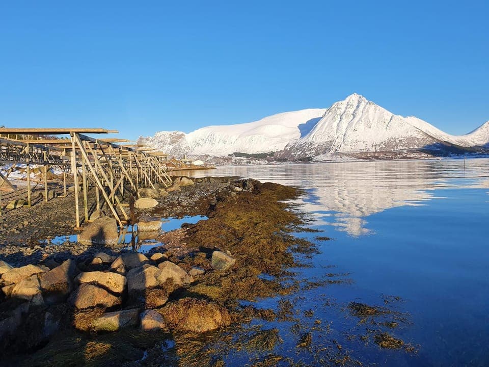 Lofoten Lodge - Live like the locals Apartment in Lofoten