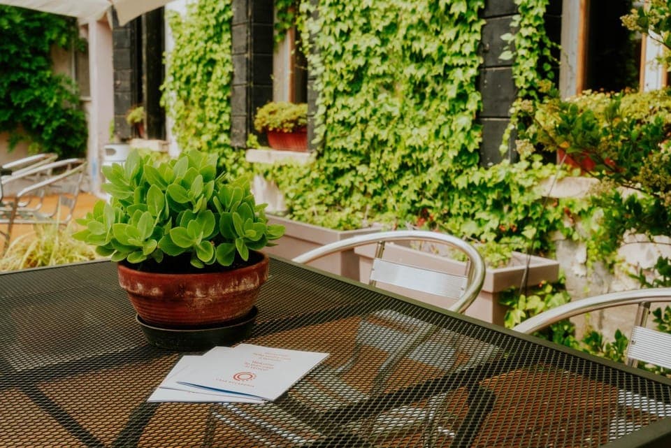 Patio, Garden, Garden, Garden view