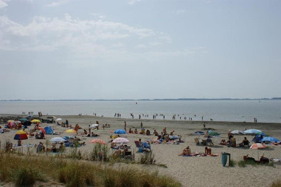 Natural landscape, Beach, Family