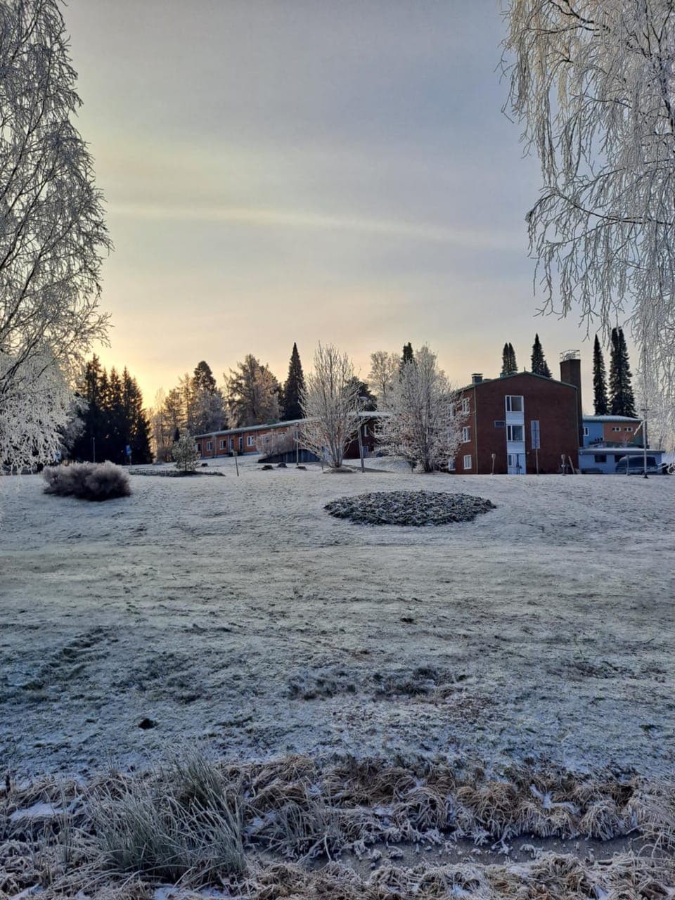 Winter