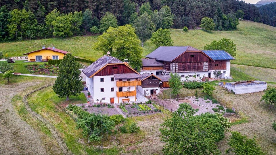 Day, Neighbourhood, Natural landscape, Bird's eye view, Summer, On site, Garden view