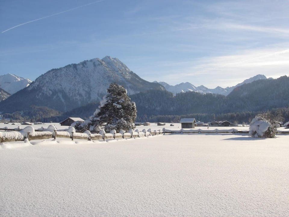 Winter, View (from property/room)