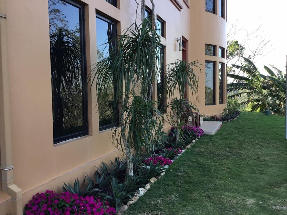 Property building, Facade/entrance, Garden