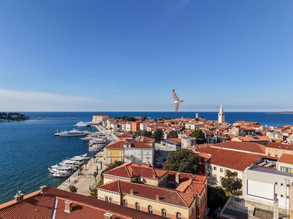 Property building, Bird's eye view