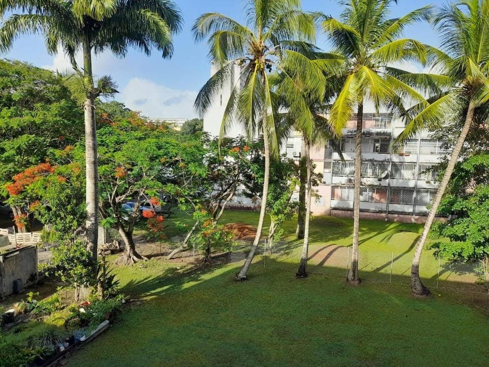 Garden view
