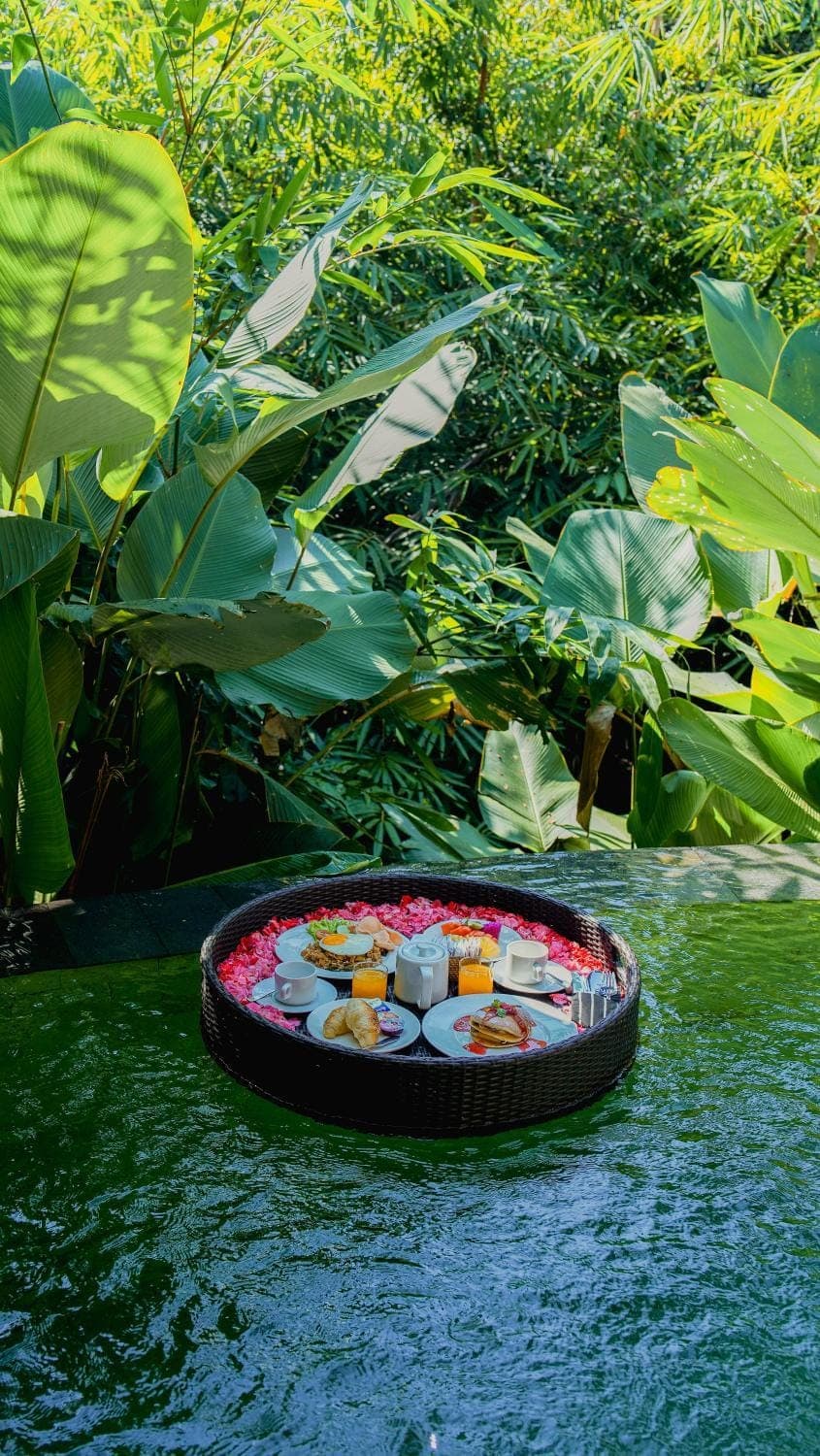 Activities, Activities