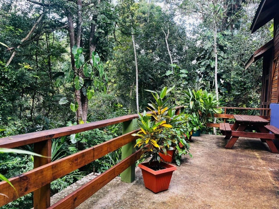 Garden view