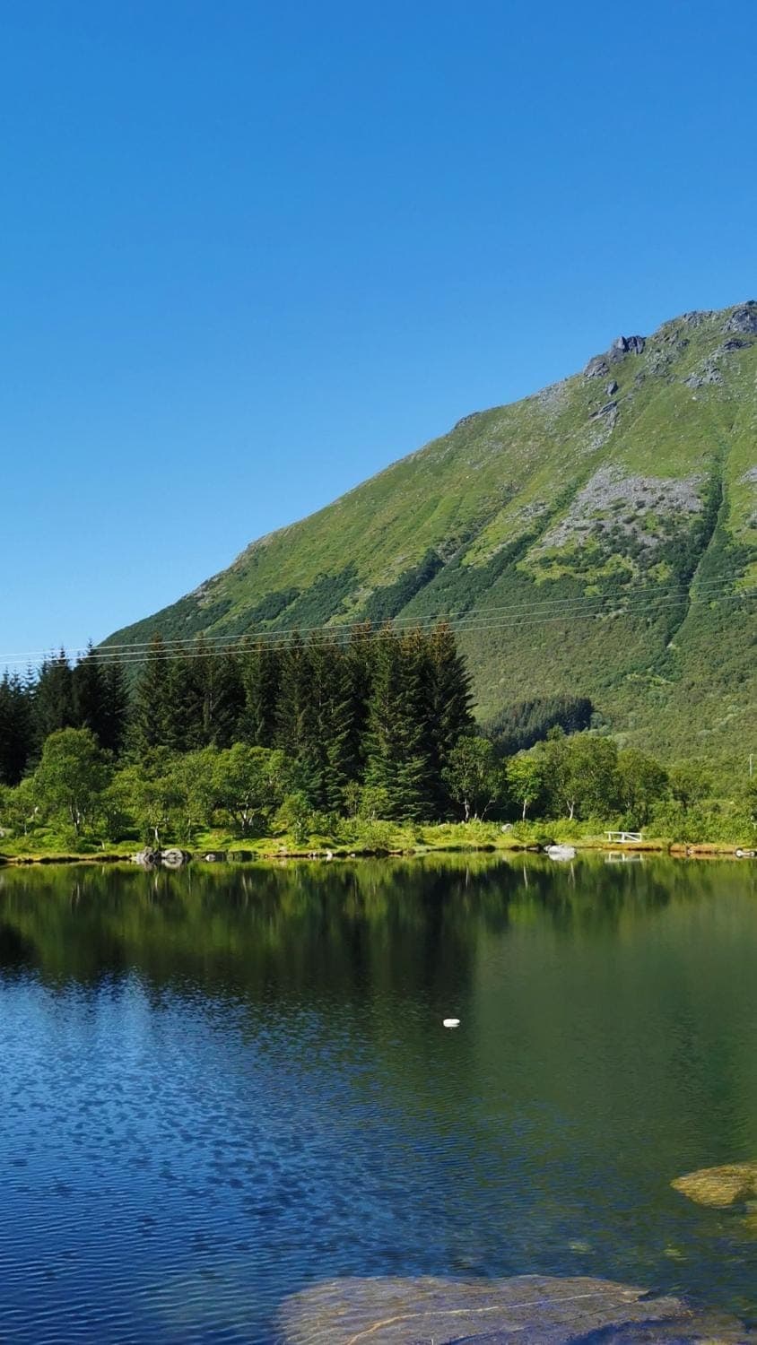 Studio apartment by fjords and mountains, pictures coming Apartment in Lofoten