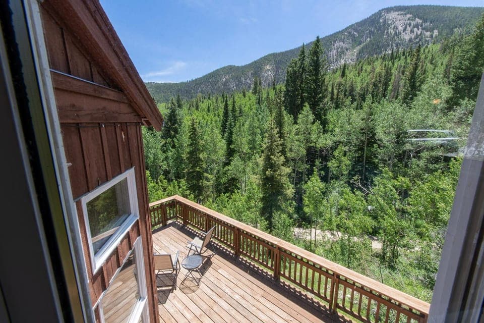 Dog Friendly Mountain High! House in Monarch