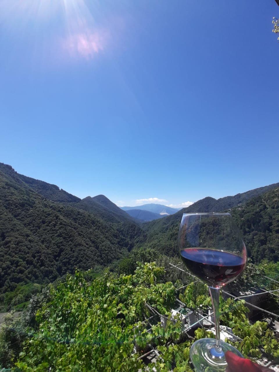 Day, Summer, View (from property/room), Mountain view