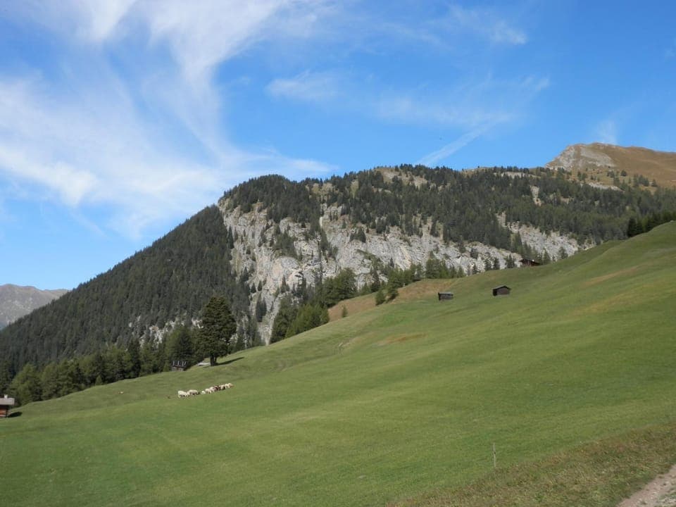 Mountain view