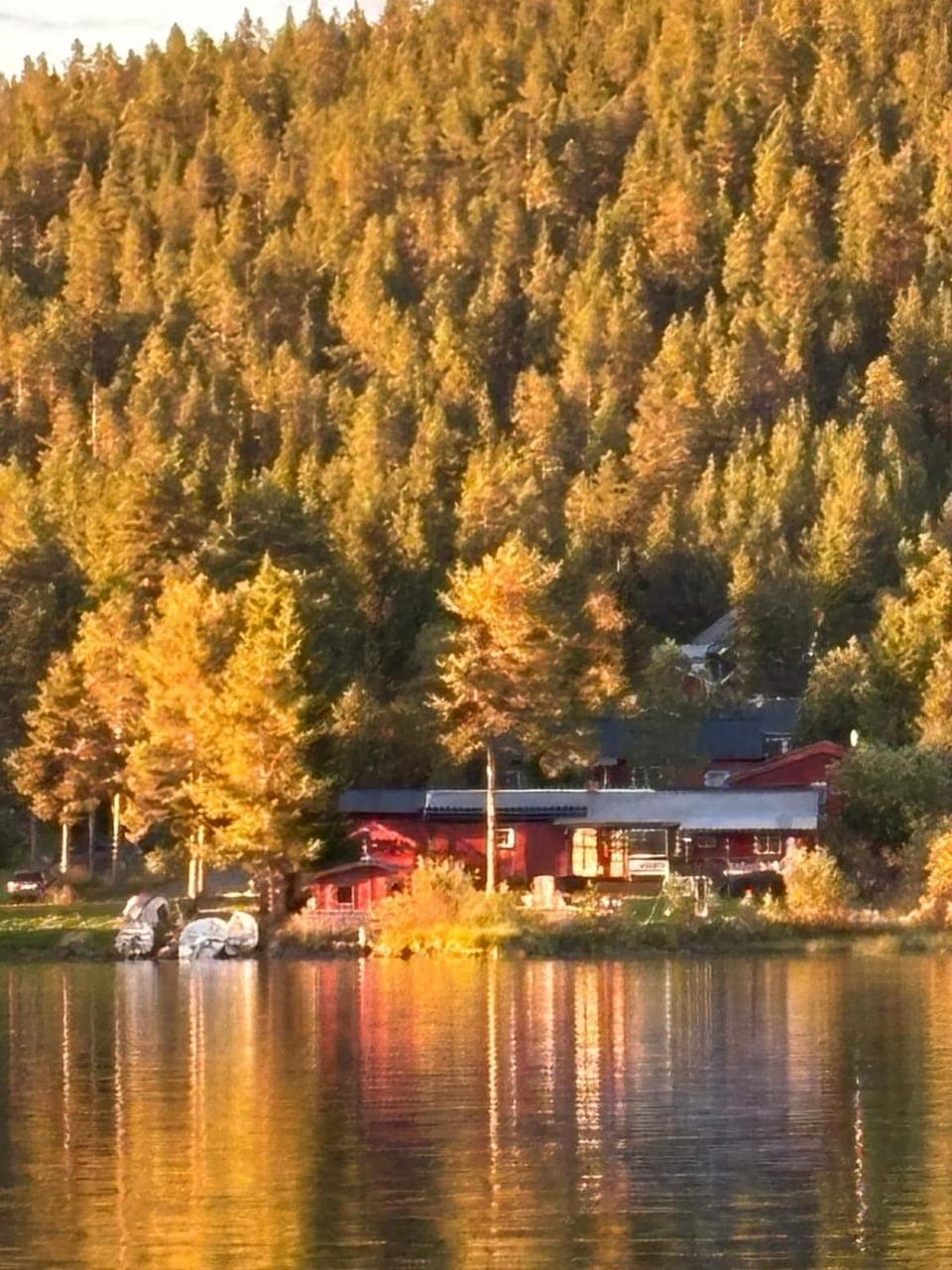 Natural landscape