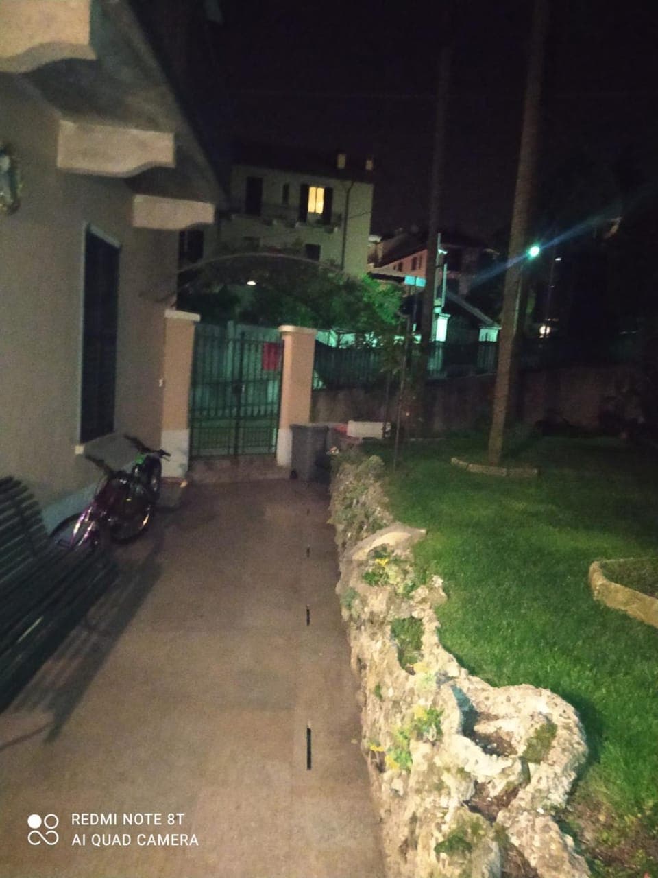 Night, Garden