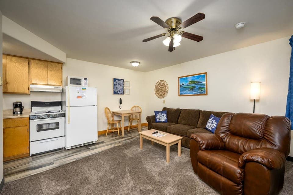 Kitchen or kitchenette, Living room, Seating area, Dining area, oven, stove, kitchen