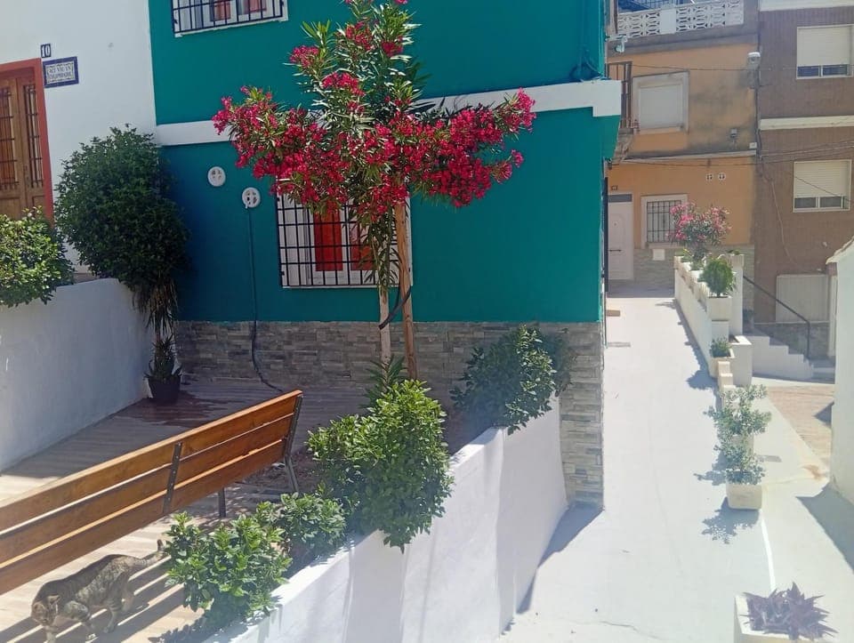 Garden view