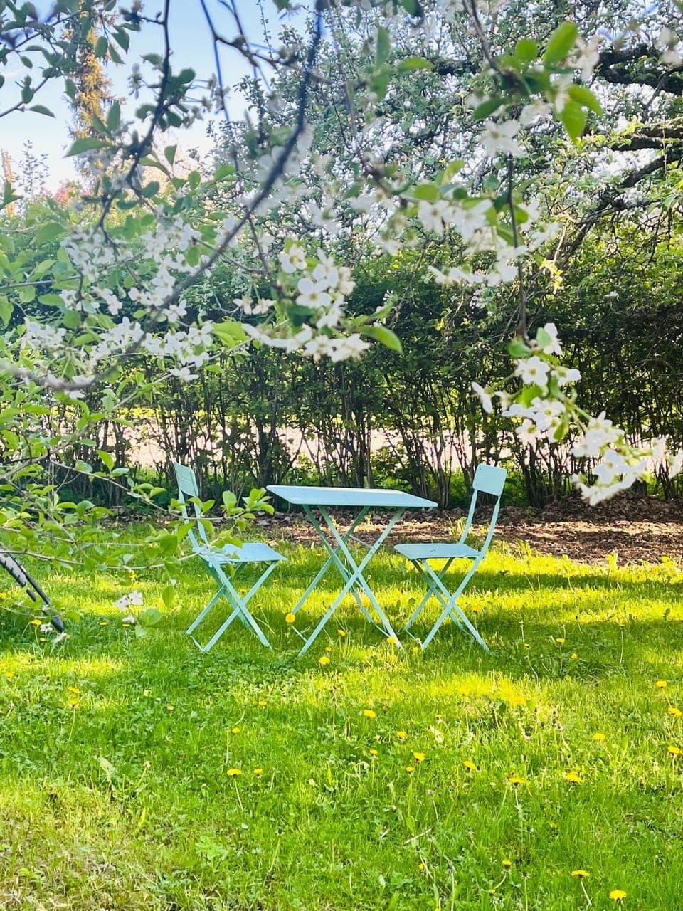 Spring, Natural landscape, Garden, Garden view