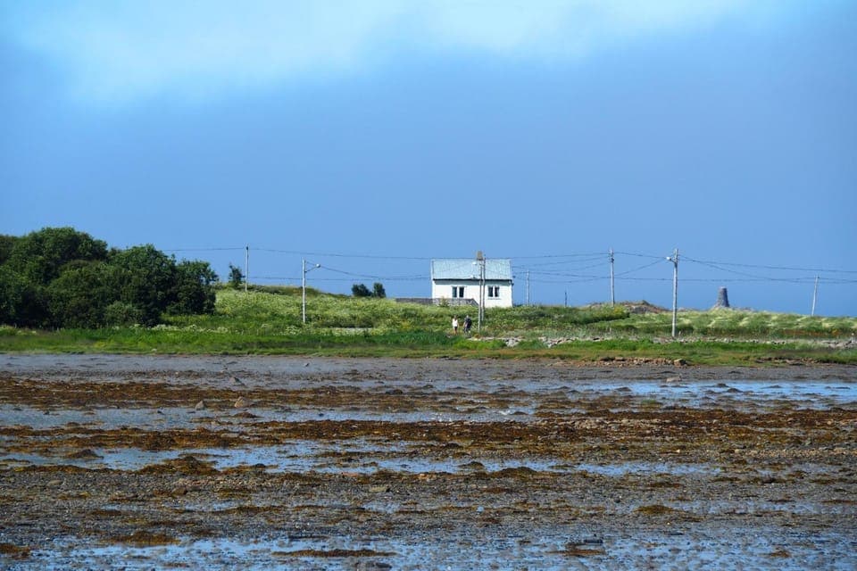 Property building, Day, Natural landscape
