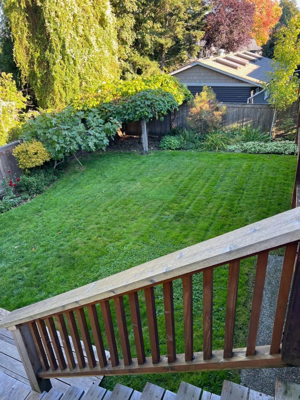 Garden view