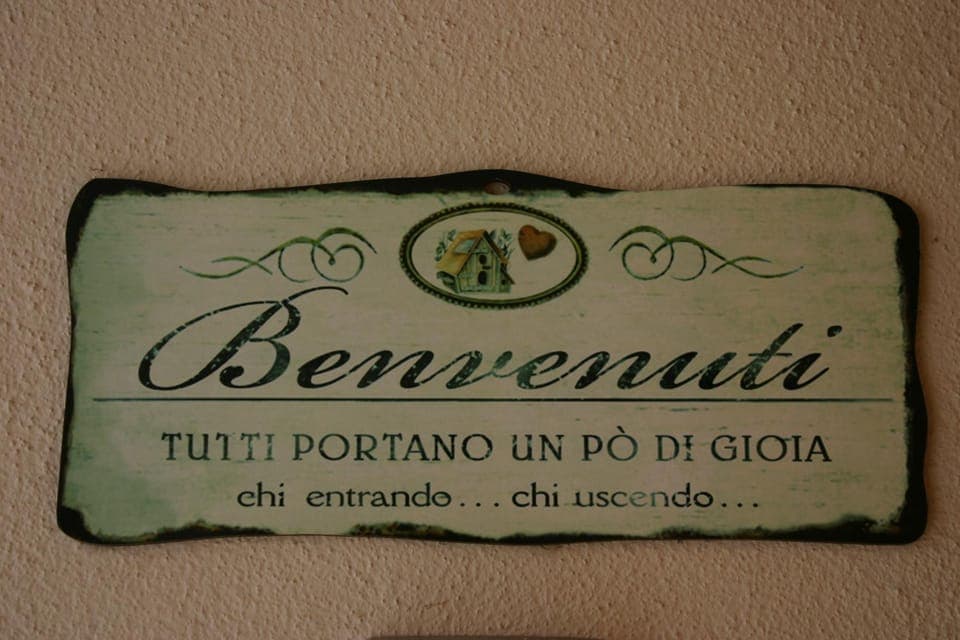 Property building, Decorative detail, Pets