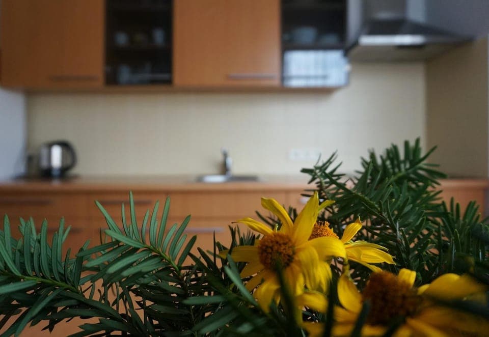 Day, Night, Kitchen or kitchenette, Decorative detail, On site, Time of day