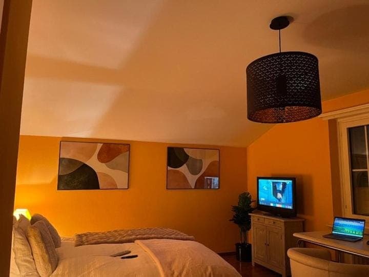 Luxury Home 15 Min to Zurich City and Airport Villa in Zurich City