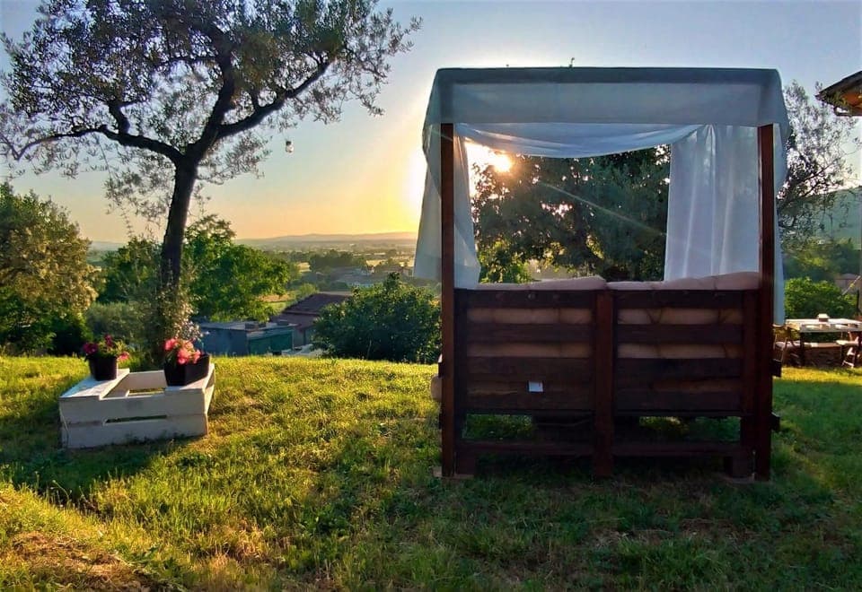 Natural landscape, Garden, View (from property/room), Sunset