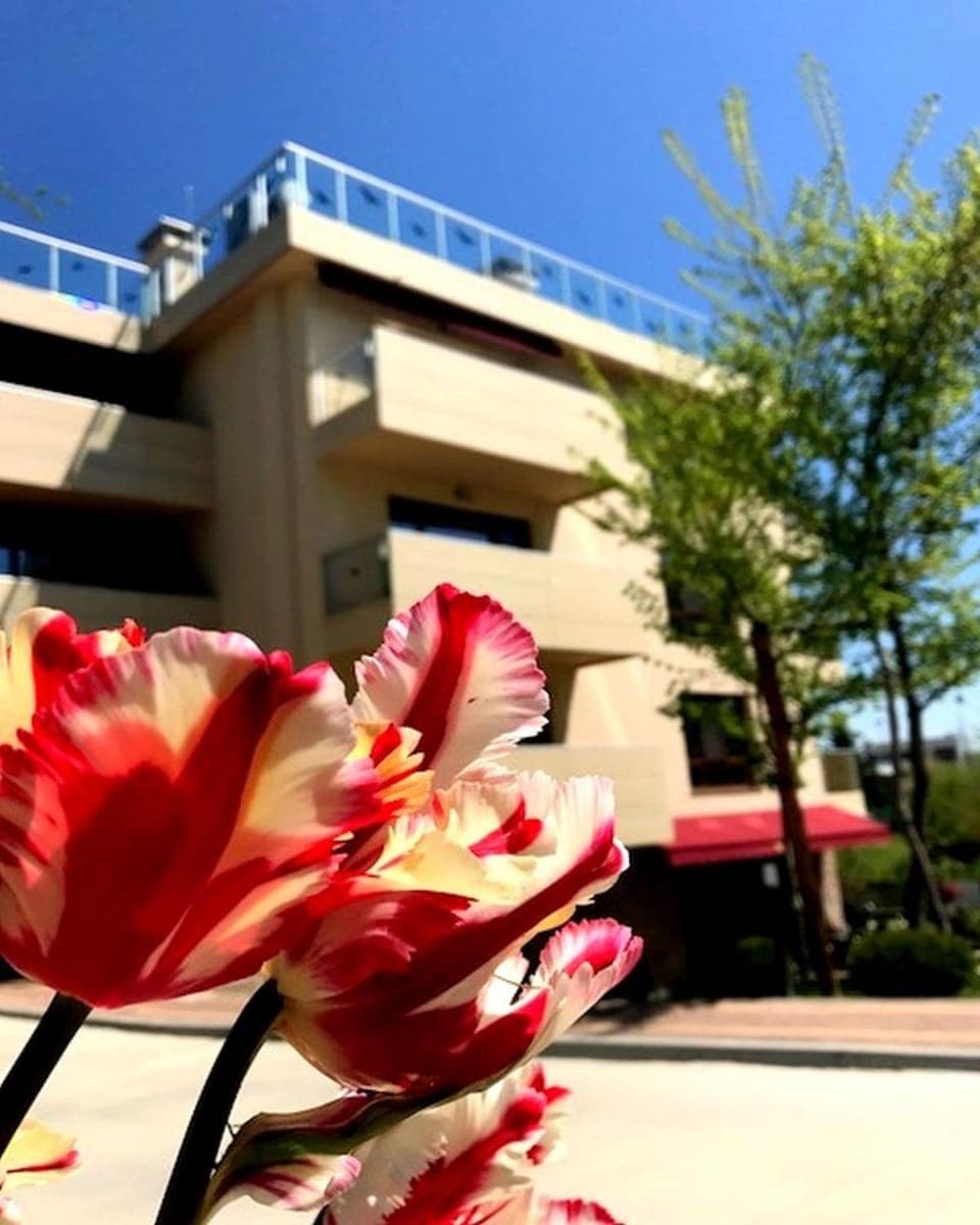 Facade/entrance, Spring, Summer, Garden, Garden view, Alcoholic drinks, Non alcoholic drinks, Family