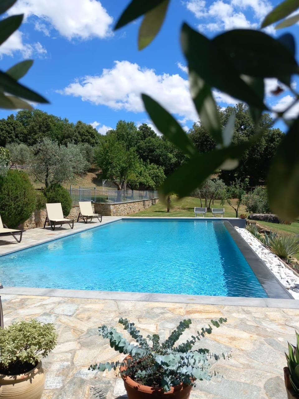 Day, Garden, Pool view, Swimming pool, sunbed