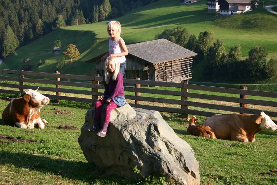 Day, Animals, young children