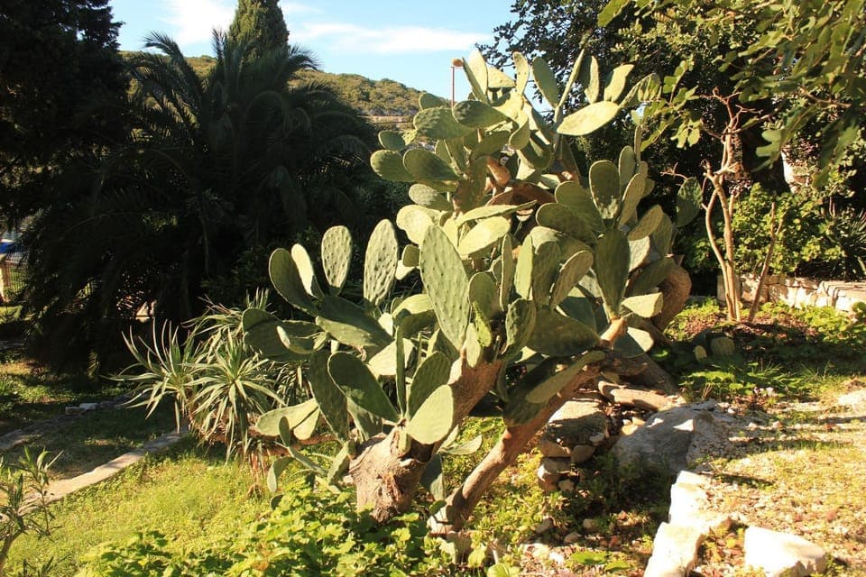 Location, children, Family